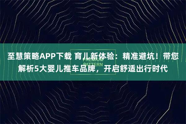 至慧策略APP下载 育儿新体验：精准避坑！带您解析5大婴儿推车品牌，开启舒适出行时代